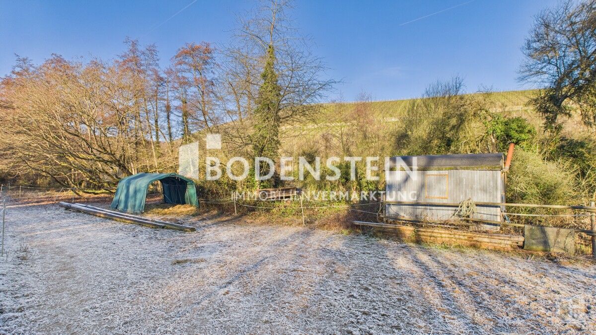 Weideflächen im hinteren Bereich