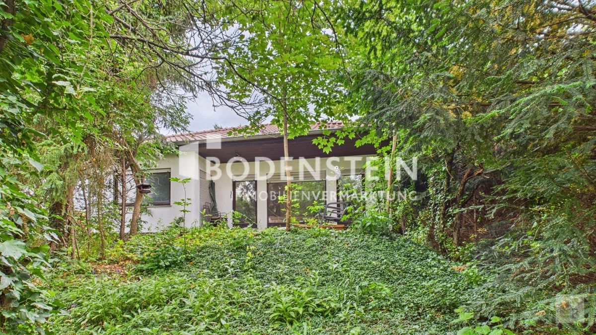 Blick aus den Garten zum Haus