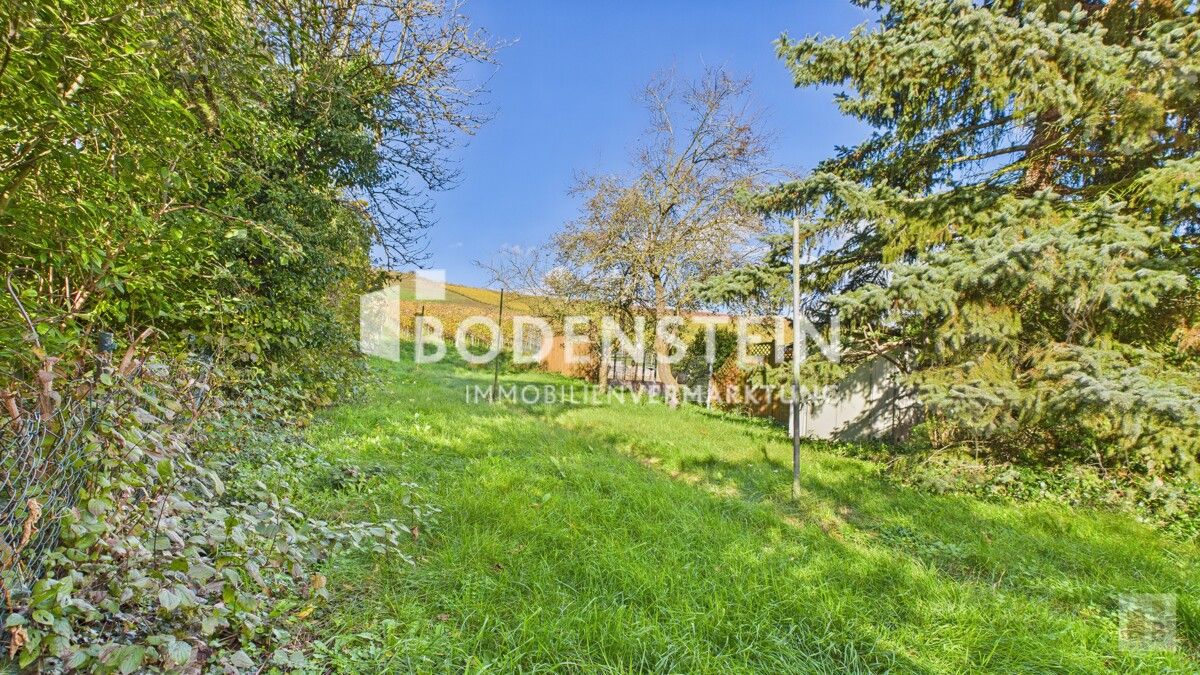 Blick vom Garten Richtung Weinberge