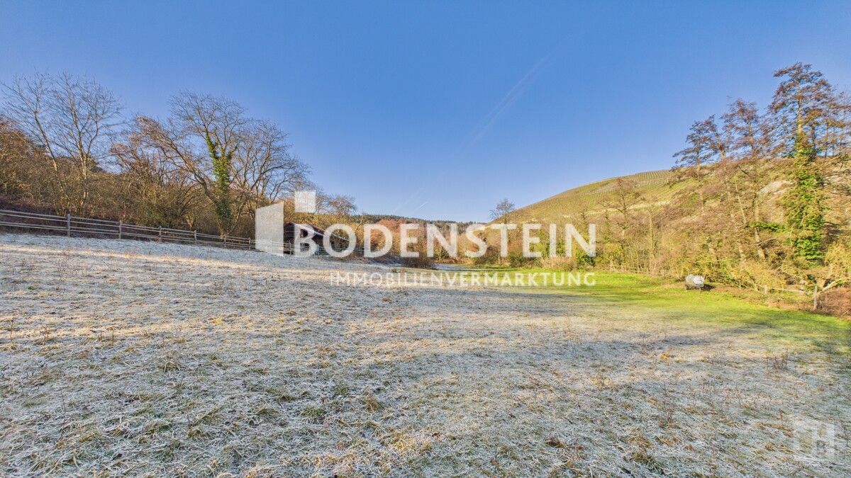 Weideflächen unterhalb des Stalls