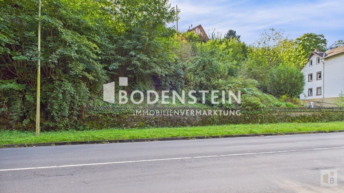 Blick von der Lorsbacher  Straße