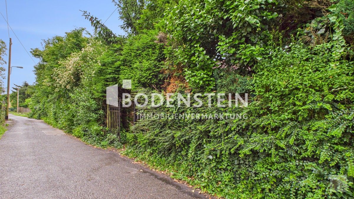 Blick in die Rothstraße