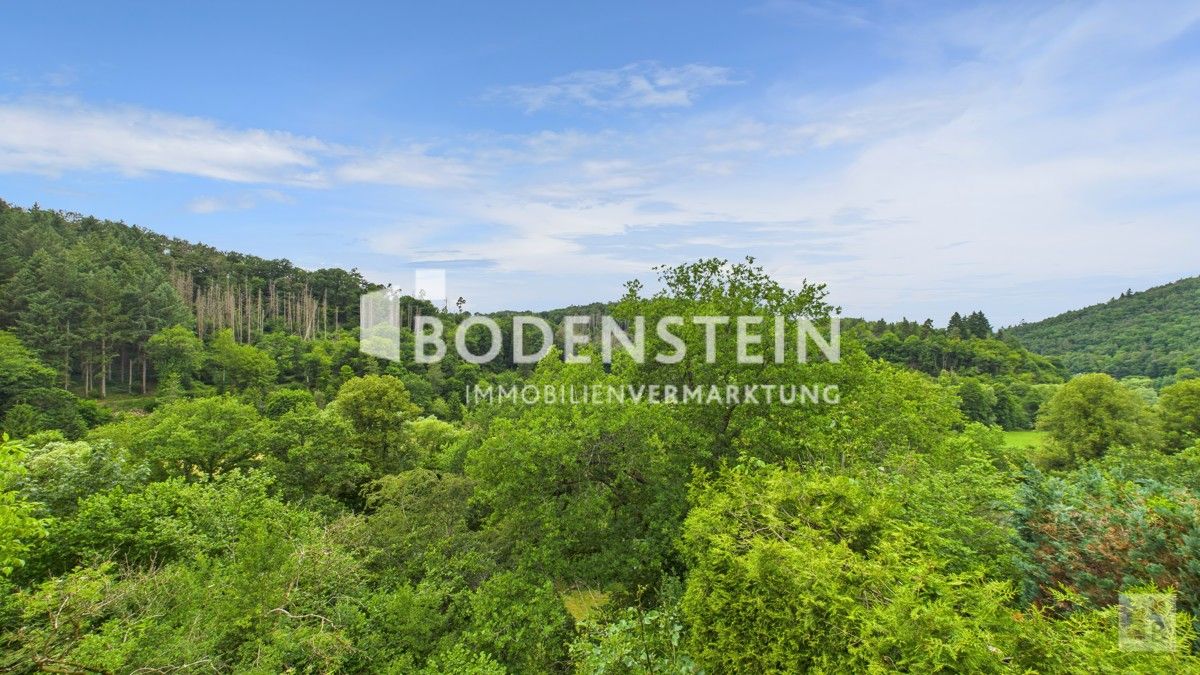 Ausblick vom Balkon