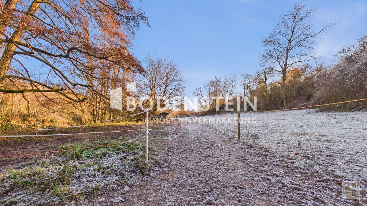 Weideflächen im hinteren Bereich